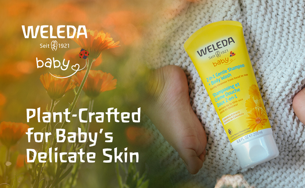 calendula