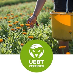 uebt